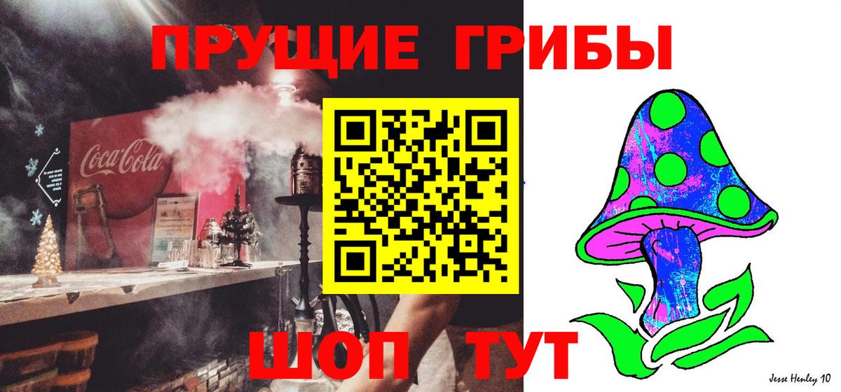 Галлюциногенные грибы ЛСД  Вход с VPN  Псилоцибиновые грибы мухоморы  цена наркотик  Тимашёвск 