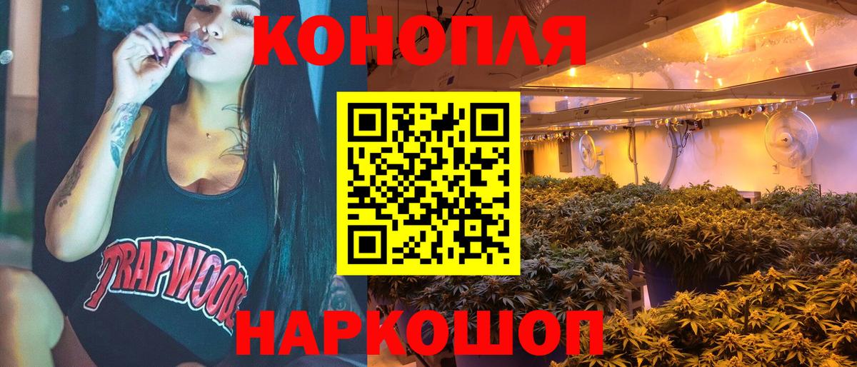 Бошки Шишки марихуана Тимашёвск